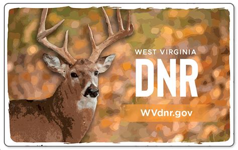 wv hunting license cost|Buyer’s guide to 2024 hunting and fishing licenses in West Virginia.